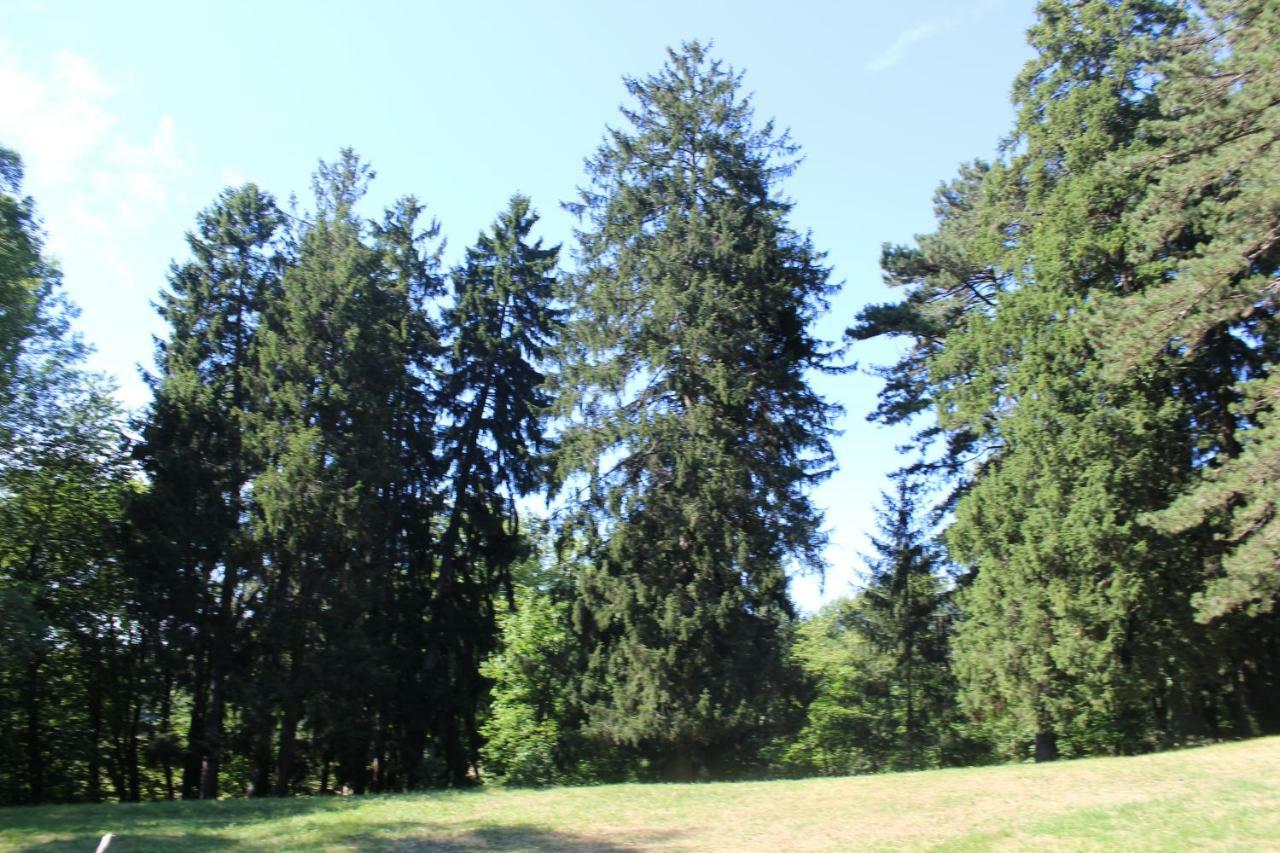 Gite 3 Du Chateau De Feschaux Villeneuve-sous-Pymont Exterior foto